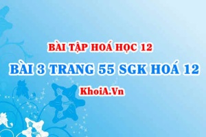 Bài 3 trang 55 SGK Hoá 12: Nội dung về Peptit và Protein